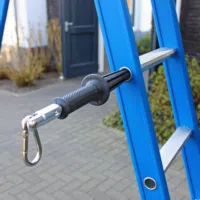 Ladderlimb 1