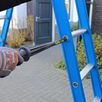 Ladderlimb 2