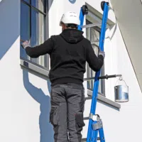 Ladderlimb 4