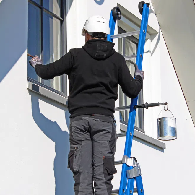 Ladderlimb 4