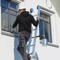 Ladderlimb 5