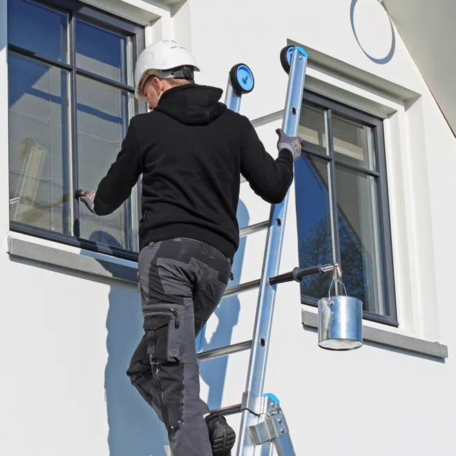 Ladderlimb 5
