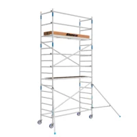 Basic rolsteiger 90 x 6.2 mtr werkhoogte 2.0.png