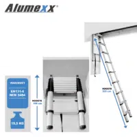 Opmaakbestand Ladders11