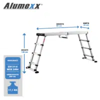 Opmaakbestand Ladders13
