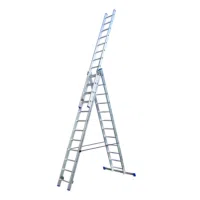 ALX 3x12 ladder