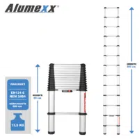 Opmaakbestand Ladders9