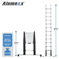 Opmaakbestand Ladders12