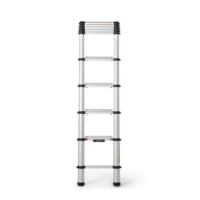 Telesteps Classico 3.0m 2