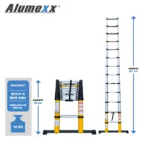 Opmaakbestand Ladders2