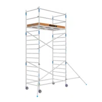 ALX Rolsteiger 6,2 x 250 x 135