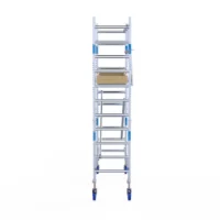 alumexx rolsteiger alumexx light 75x190 42m werkho 2.jpg