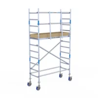 ALX Rolsteiger met voorloopleuning 75 x 4,2