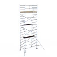 ALX Rolsteiger met voorloopleuning 135 x 8,2