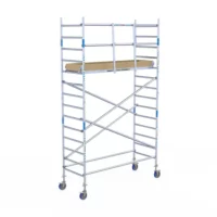 alumexx rolsteiger alumexx light 90x250 52m werkho.jpg