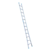eurostairs eurostairs ladder enkel uitgebogen 1x12 (1)